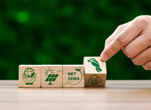 Holzwürfel mit Klimazielen drauf, die vor einem naturellen Hintergrund stehen